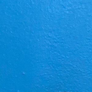 Meet your Posher, Ellen